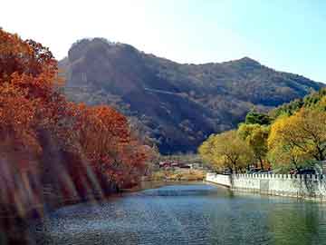 新澳天天开奖资料大全旅游团，马胎盘